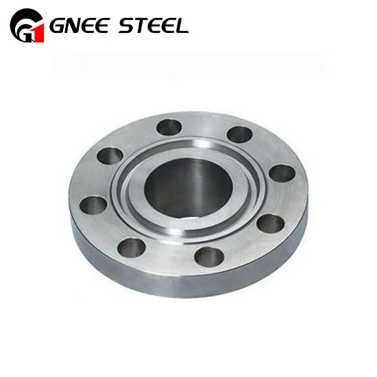 Duplex Steel Ring Kalite Joint Flans