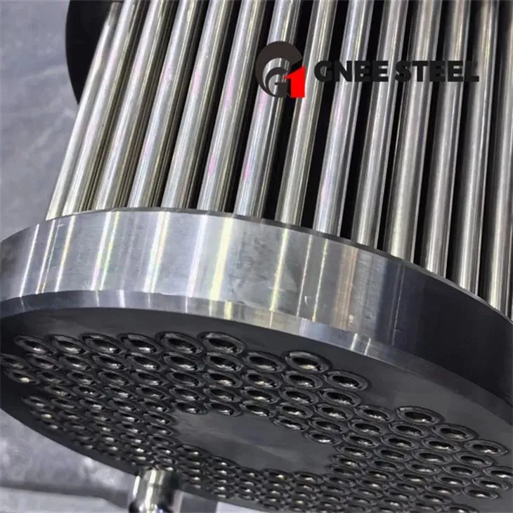 Inconel 600 Echanjeur Chalè Tib